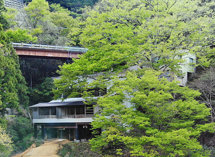 山鳩湯はダム湖に向かって山の斜面に沿って建っています。